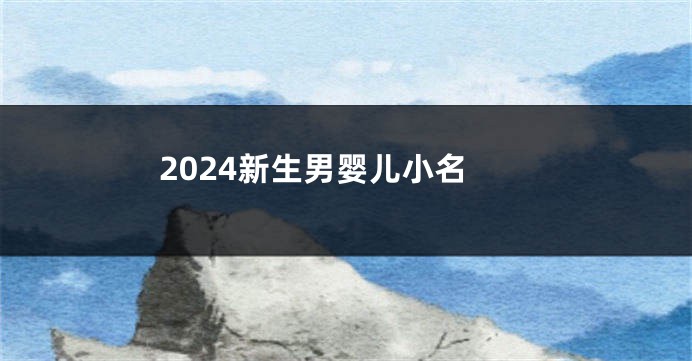 2024新生男婴儿小名