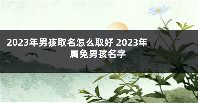 2023年男孩取名怎么取好 2023年属兔男孩名字