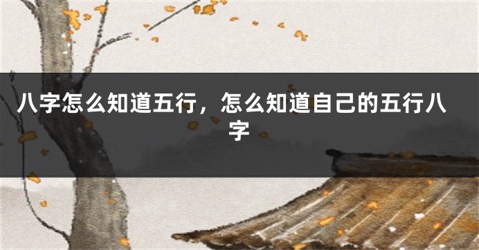八字怎么知道五行，怎么知道自己的五行八字