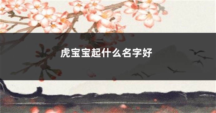 虎宝宝起什么名字好