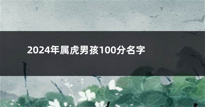 2024年属虎男孩100分名字