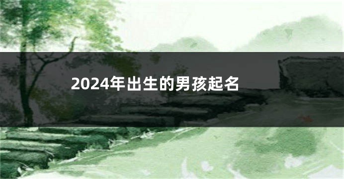 2024年出生的男孩起名