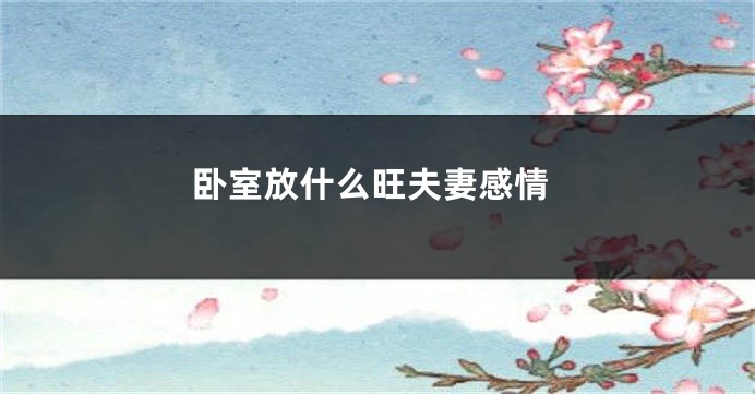 卧室放什么旺夫妻感情