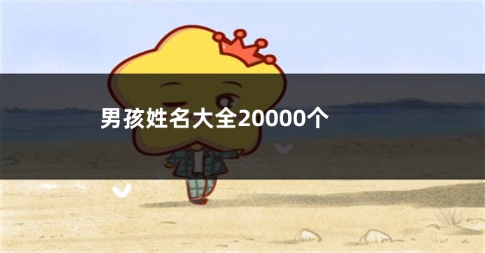 男孩姓名大全20000个