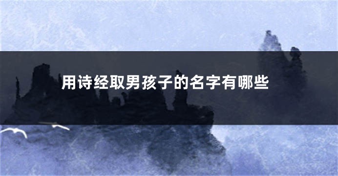 用诗经取男孩子的名字有哪些