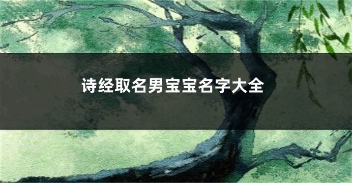 诗经取名男宝宝名字大全