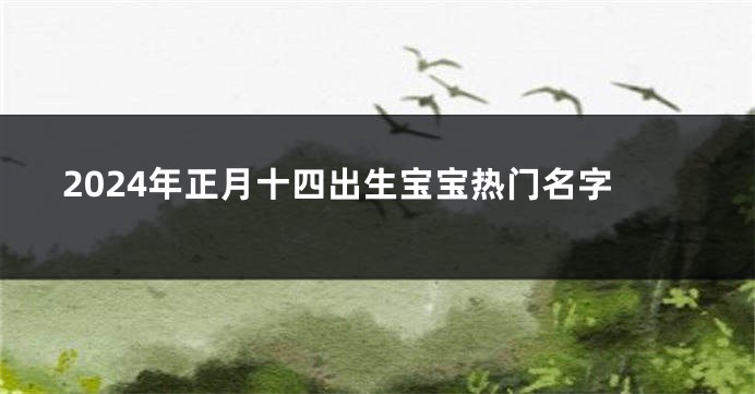 2024年正月十四出生宝宝热门名字