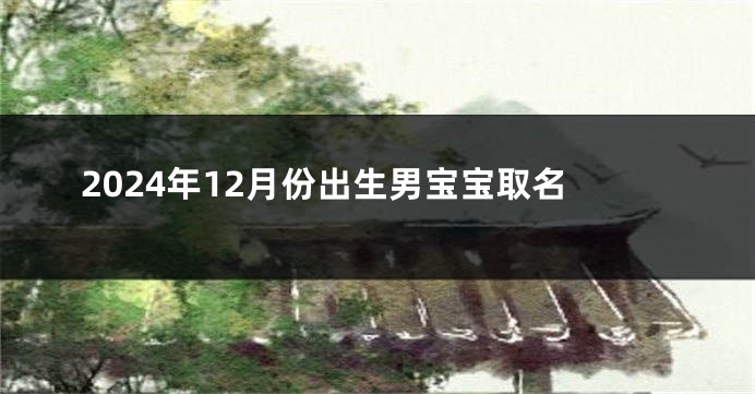 2024年12月份出生男宝宝取名