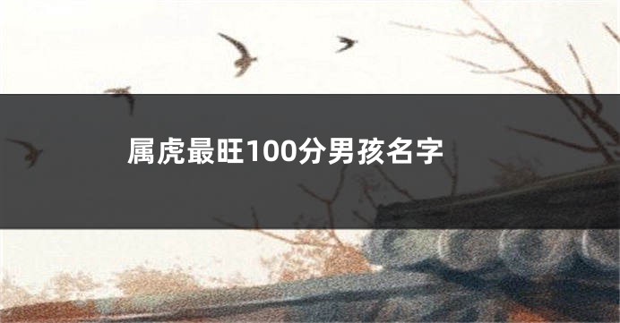 属虎最旺100分男孩名字