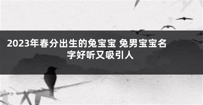 2023年春分出生的兔宝宝 兔男宝宝名字好听又吸引人