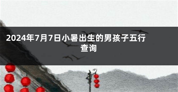 2024年7月7日小暑出生的男孩子五行查询