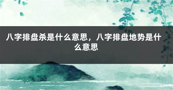 八字排盘杀是什么意思，八字排盘地势是什么意思