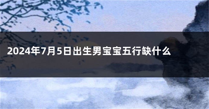 2024年7月5日出生男宝宝五行缺什么