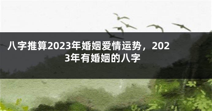 八字推算2023年婚姻爱情运势，2023年有婚姻的八字