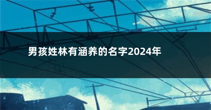 男孩姓林有涵养的名字2024年