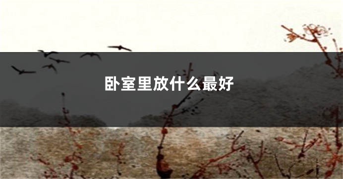 卧室里放什么最好