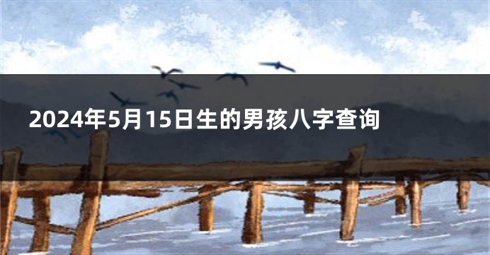 2024年5月15日生的男孩八字查询