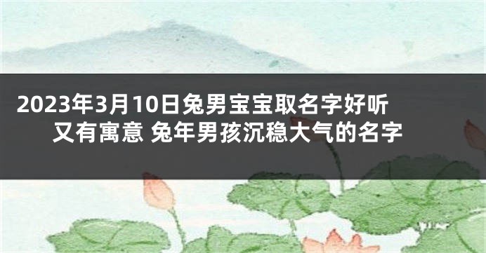 2023年3月10日兔男宝宝取名字好听又有寓意 兔年男孩沉稳大气的名字