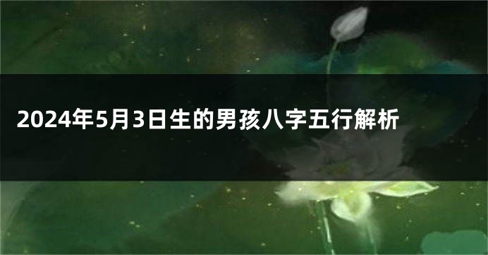 2024年5月3日生的男孩八字五行解析