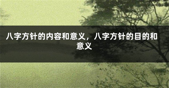 八字方针的内容和意义，八字方针的目的和意义