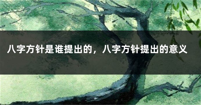 八字方针是谁提出的，八字方针提出的意义