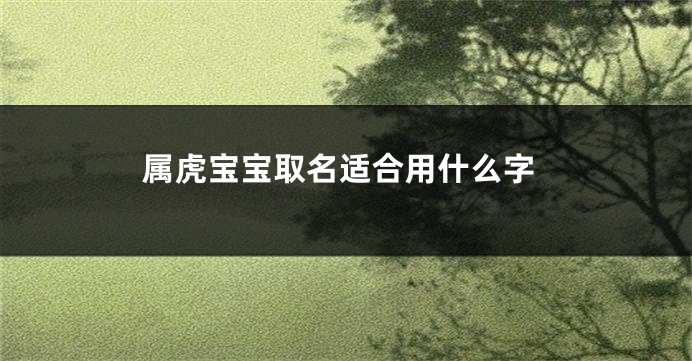 属虎宝宝取名适合用什么字