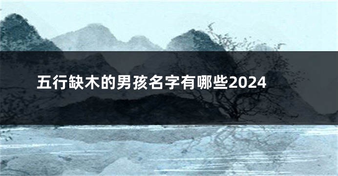 五行缺木的男孩名字有哪些2024