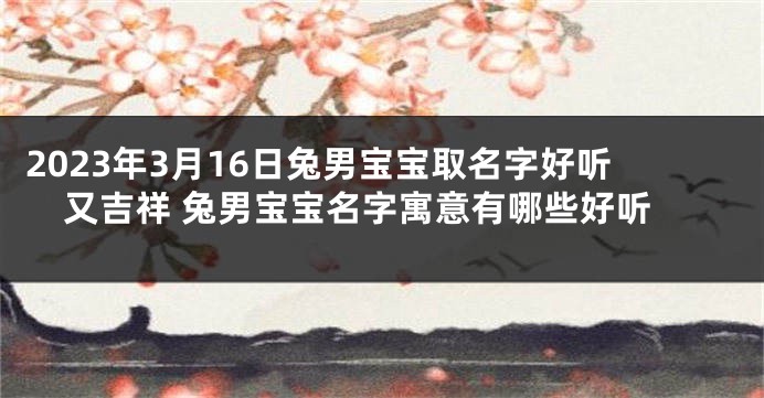 2023年3月16日兔男宝宝取名字好听又吉祥 兔男宝宝名字寓意有哪些好听