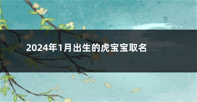 2024年1月出生的虎宝宝取名