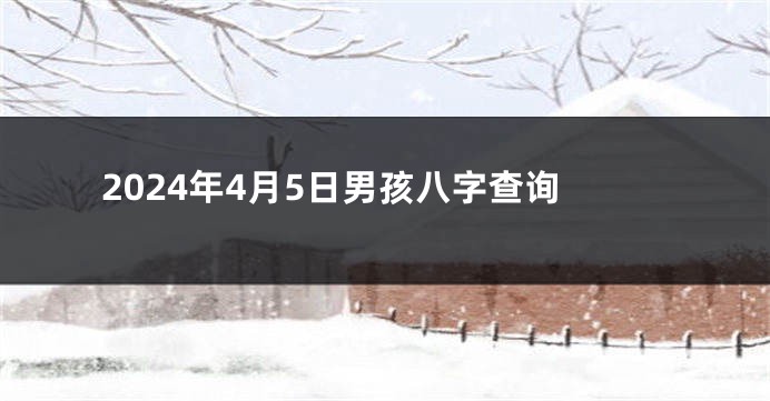 2024年4月5日男孩八字查询