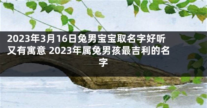 2023年3月16日兔男宝宝取名字好听又有寓意 2023年属兔男孩最吉利的名字