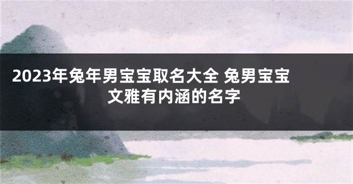 2023年兔年男宝宝取名大全 兔男宝宝文雅有内涵的名字