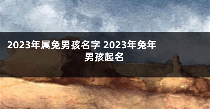 2023年属兔男孩名字 2023年兔年男孩起名