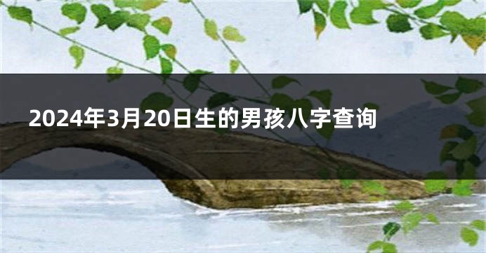 2024年3月20日生的男孩八字查询