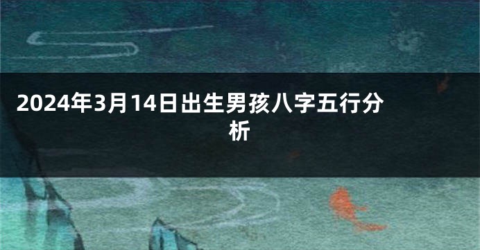 2024年3月14日出生男孩八字五行分析
