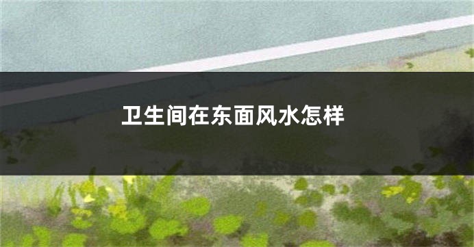 卫生间在东面风水怎样
