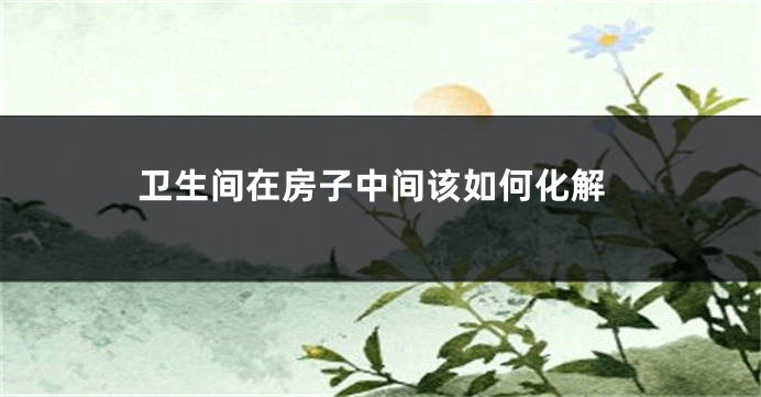 卫生间在房子中间该如何化解