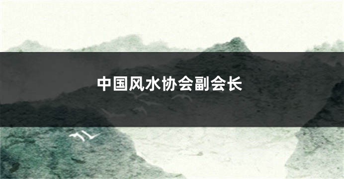 中国风水协会副会长