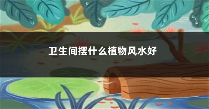 卫生间摆什么植物风水好