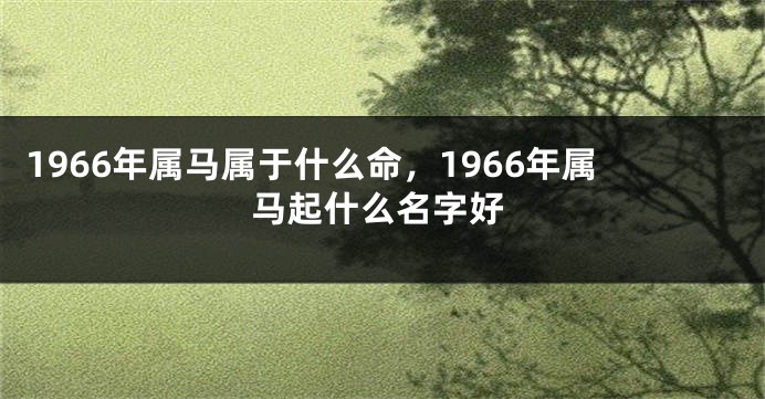 1966年属马属于什么命，1966年属马起什么名字好