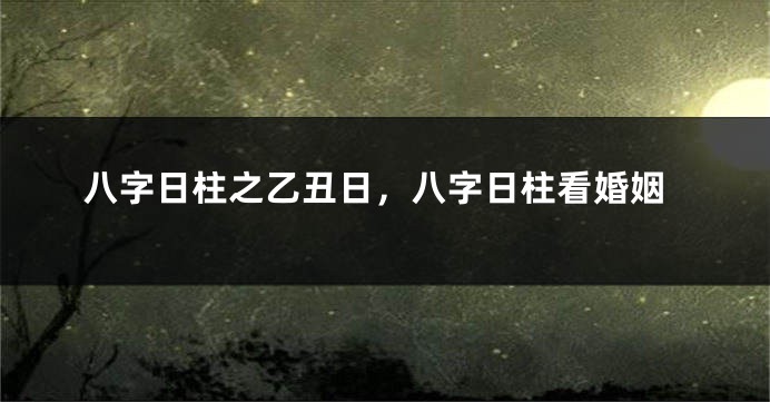 八字日柱之乙丑日，八字日柱看婚姻