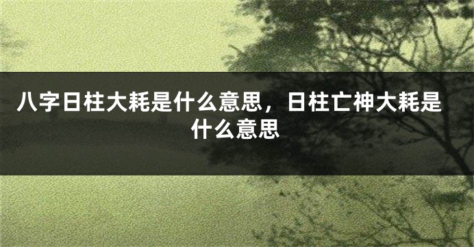 八字日柱大耗是什么意思，日柱亡神大耗是什么意思