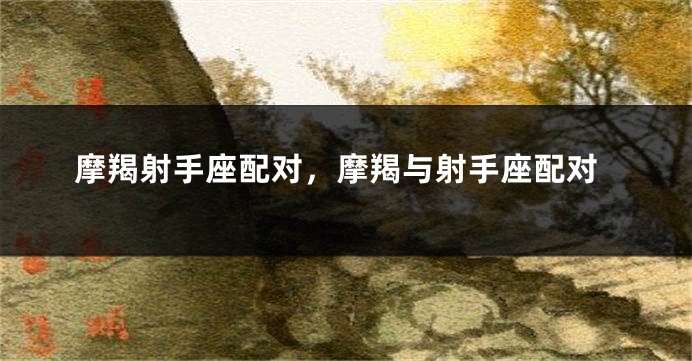 摩羯射手座配对，摩羯与射手座配对