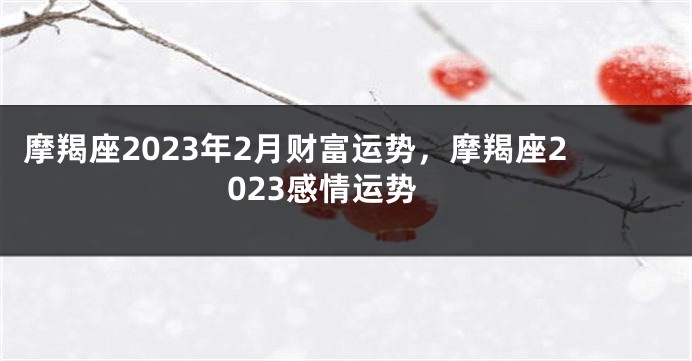 摩羯座2023年2月财富运势，摩羯座2023感情运势