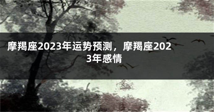 摩羯座2023年运势预测，摩羯座2023年感情