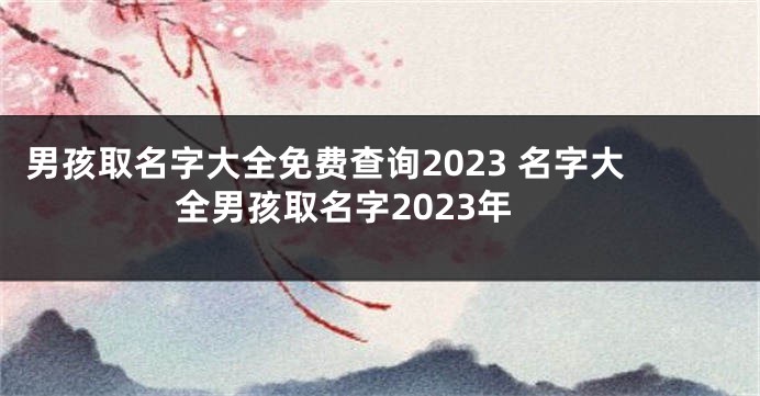 男孩取名字大全免费查询2023 名字大全男孩取名字2023年