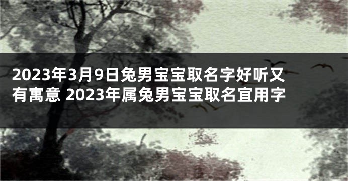 2023年3月9日兔男宝宝取名字好听又有寓意 2023年属兔男宝宝取名宜用字