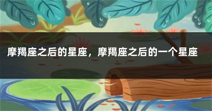 摩羯座之后的星座，摩羯座之后的一个星座
