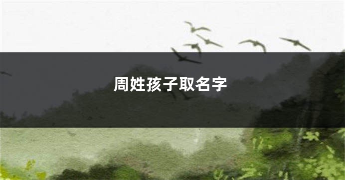 周姓孩子取名字