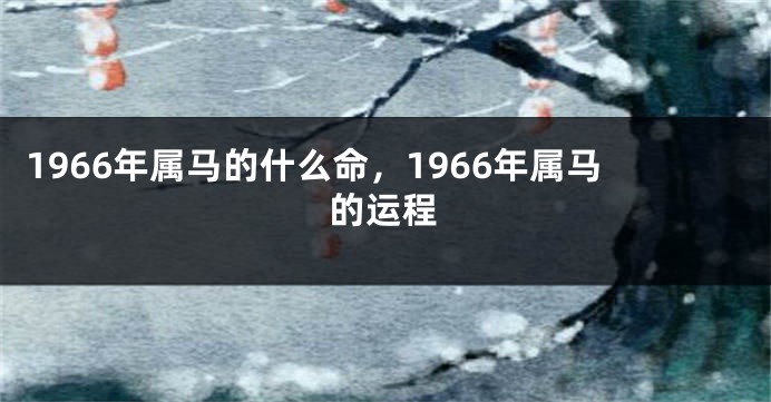 1966年属马的什么命，1966年属马的运程